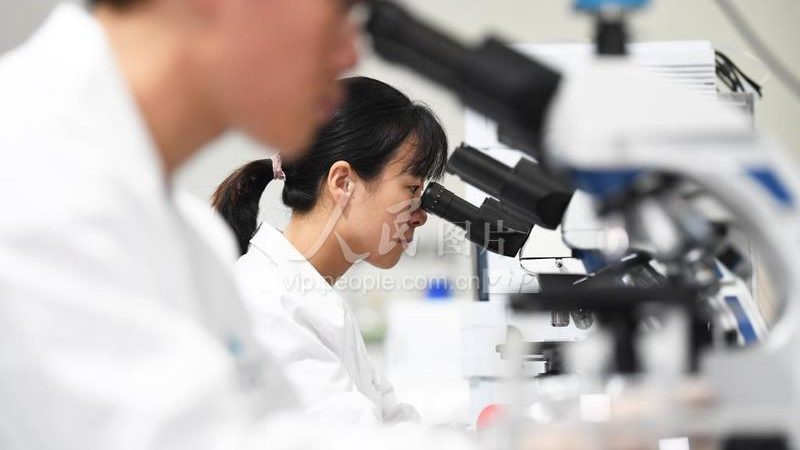 生物制品GMP认证验证：确保产品质量的坚实基石**