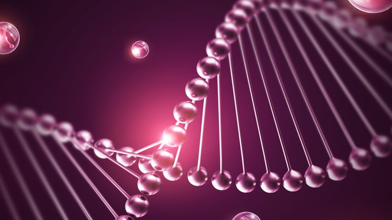 实验室离心机报价背后的技术分层与选型逻辑