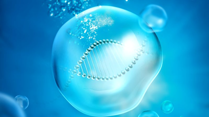 酶促反应：揭秘生物催化过程的精细步骤**