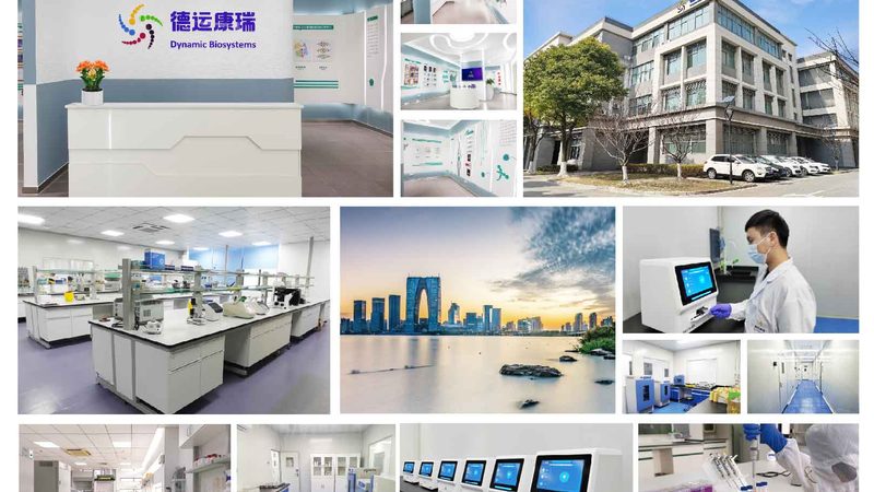 细胞工厂中的明珠：揭秘石家庄生物反应器公司的核心优势**