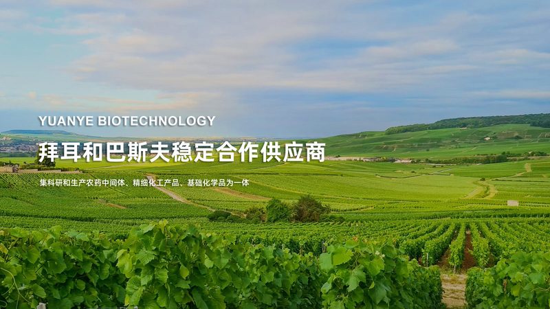 PCR检测实验室哪家正规