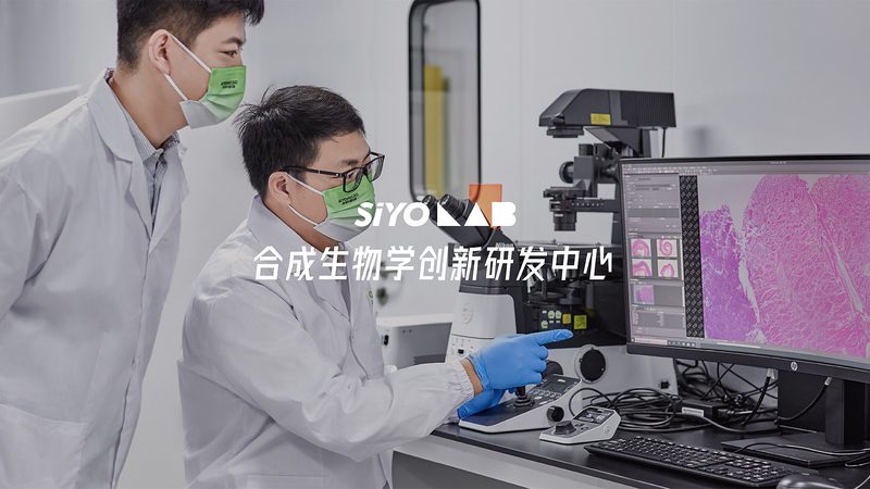 生物制品储存温度稳定性：关键因素与挑战**