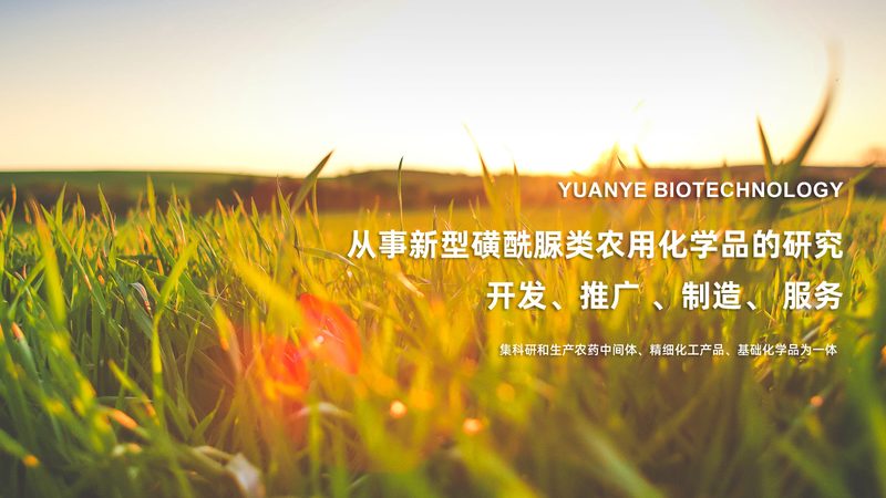 第三方诊断试剂代工工厂：揭秘其背后的工艺与选择要点**