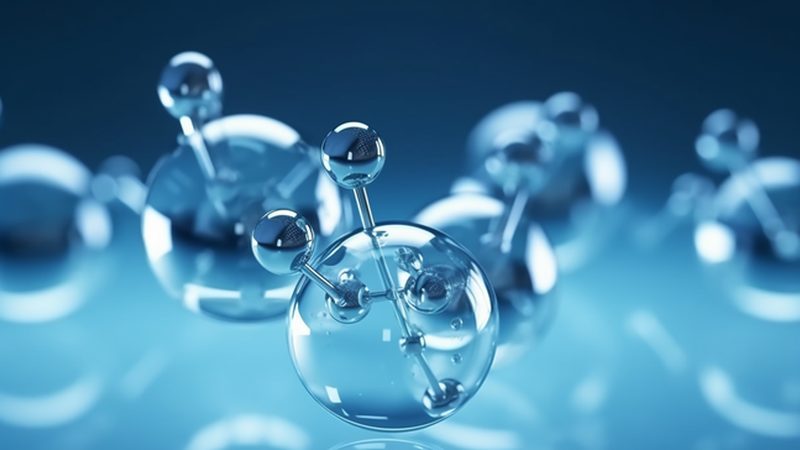 PCR检测定制服务：揭秘定制化背后的关键考量