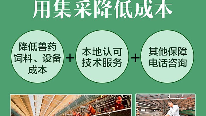 抗体纯化柱保养维护：关键步骤与常见问题解析**