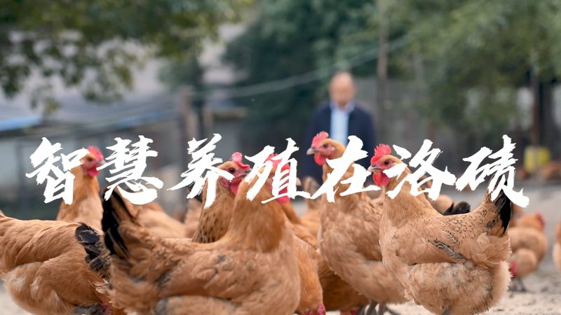 细胞培养皿标准规范要求到底看什么