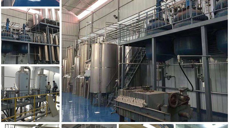 快速引物合成：揭秘高效PCR实验的秘密武器**