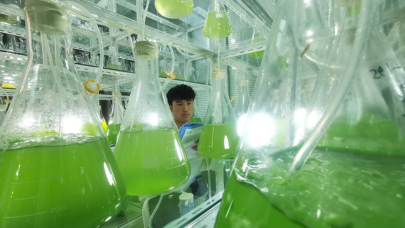 细胞工厂选购指南